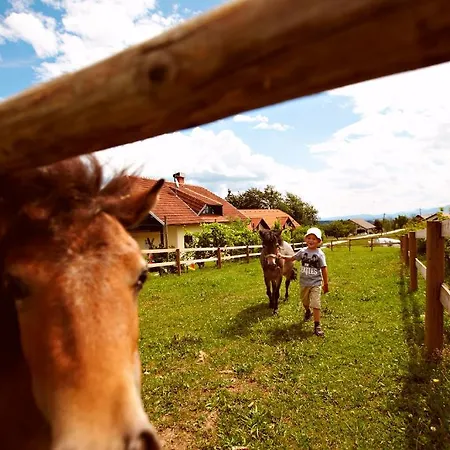 Farm stay Tourist Farm Urska *