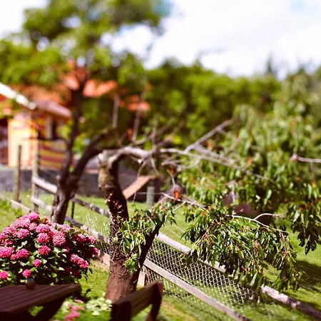 Farm stay Tourist Farm Urska