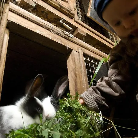 Tourist Farm Urska * Zrece