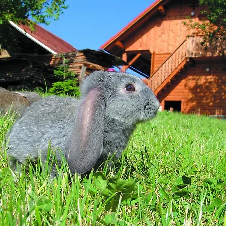 Tourist Farm Urska Alojamento de Turismo Rural Zreče