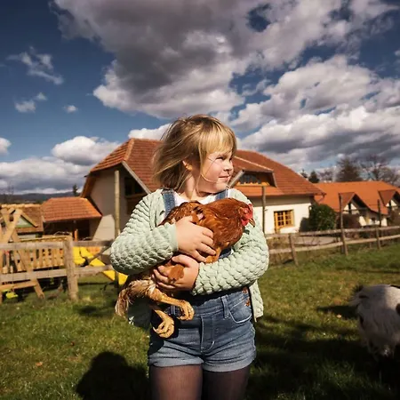 Tourist Farm Urska Farm stay